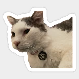 HARPER GRUFFY CUTOUT Sticker